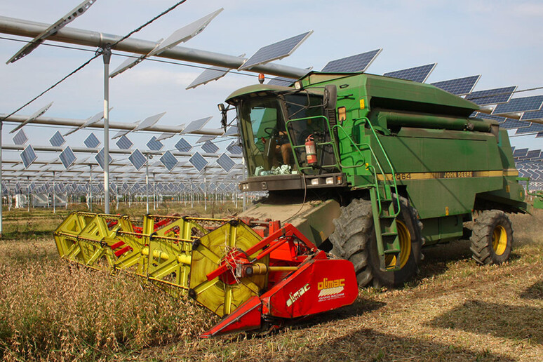 Italia Solare, il decreto Agricoltura blocca l'agrivoltaico
