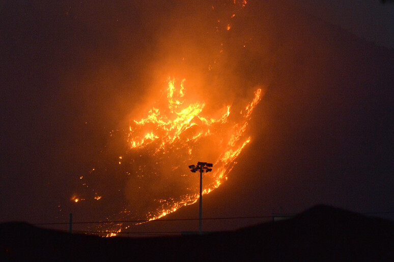 Incendio a Palermo, 25 luglio 2023 - RIPRODUZIONE RISERVATA