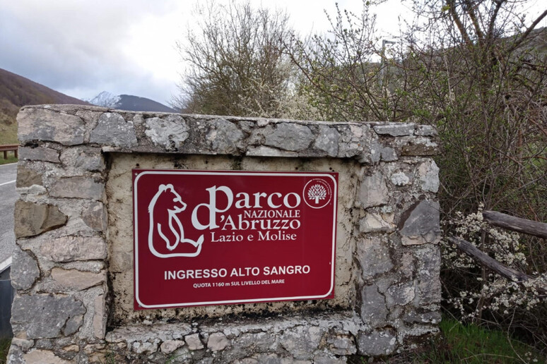 Carrozzine elettriche per visitare il Parco nazionale d 'Abruzzo - RIPRODUZIONE RISERVATA