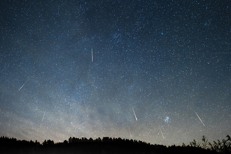 Le Perseidi, stelle cadenti di agosto (fonte: Arnas Goldberg, da Wikipedia) - RIPRODUZIONE RISERVATA