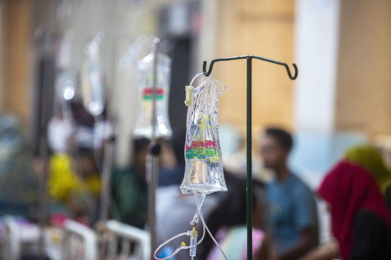 Non sono gravi i due pazienti ricoverati per Dengue allo Spallanzani © ANSA/EPA