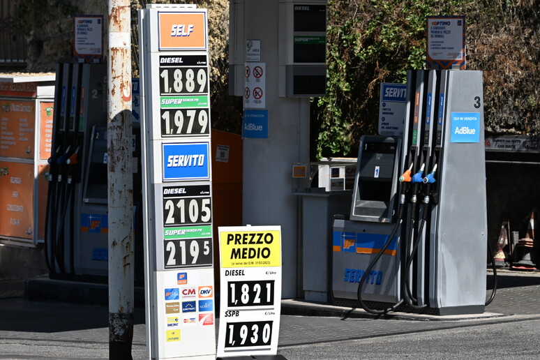 I prezzi della benzina - RIPRODUZIONE RISERVATA