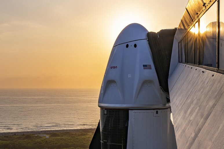 Domani il lancio della Crew-7, a bordo un astronauta europeo (fonte: SpaceX) - RIPRODUZIONE RISERVATA