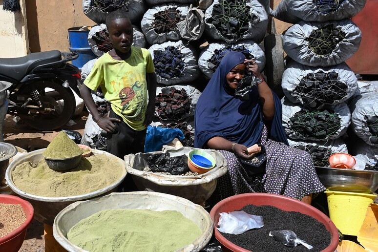 Un 'immagine di Niamey © ANSA/AFP