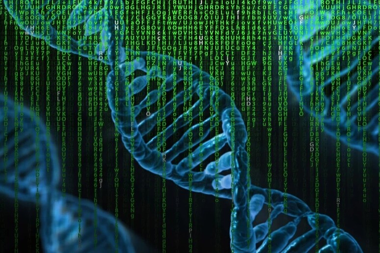 L’intelligenza artificiale a caccia di mutazioni genetiche pericolose (fonte: Pixabay) - RIPRODUZIONE RISERVATA