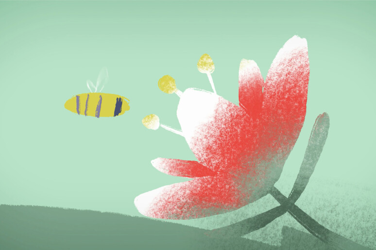 L'ultima ape, il cortometraggio che parla di ambiente e rifiuti