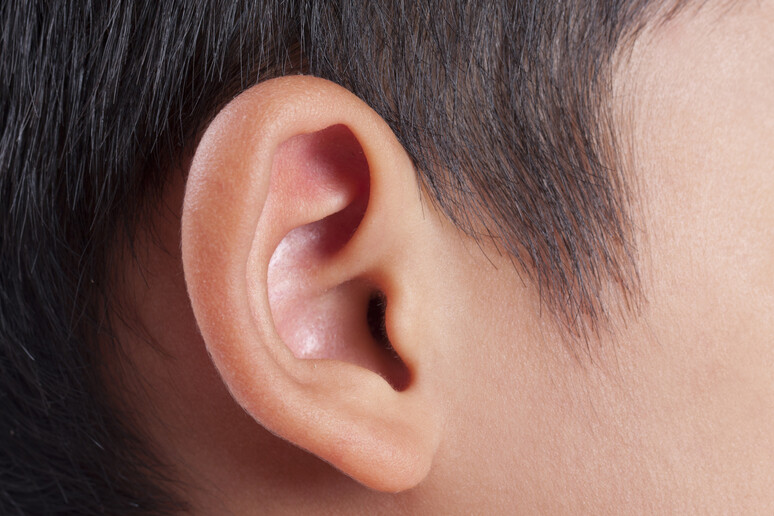 Prima terapia genica contro la sordità -     RIPRODUZIONE RISERVATA