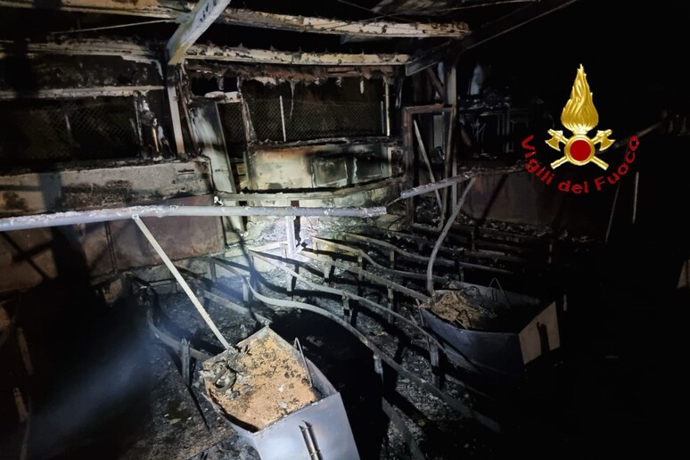 Incendio in un capannone, nel Materano morti 1.500 maiali
