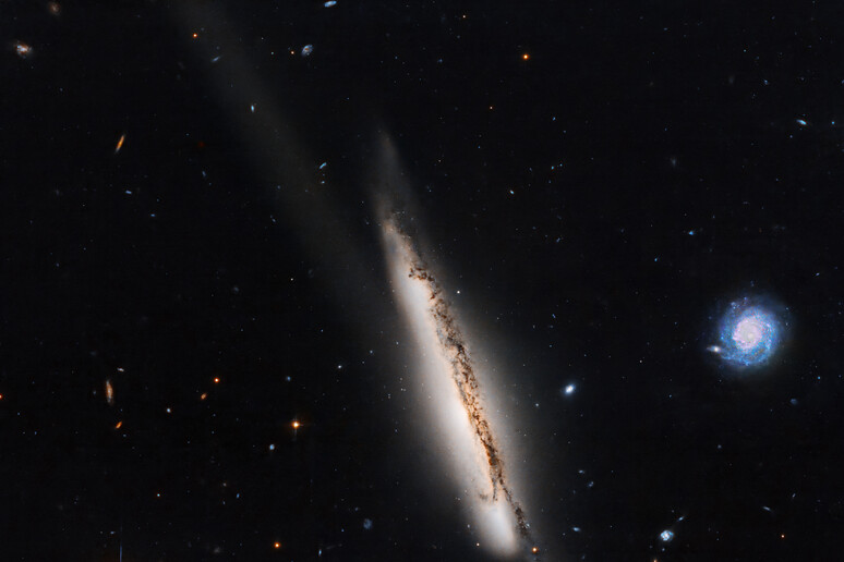 La galassia Arp 295a (fonte: NASA/ESA/J. Dalcanton/University of Washington/R. Windhorst/Arizona State University,Gladys Kober/NASA/Catholic University of America) -     RIPRODUZIONE RISERVATA