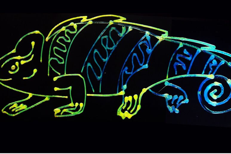Un esempio della nuova tecnica di stampa 3D che, usando un solo inchiostro, imita la capacità dei camaleonti di cambiare colore (fonte: Sanghyun Jeon, Diao Lab) -     RIPRODUZIONE RISERVATA