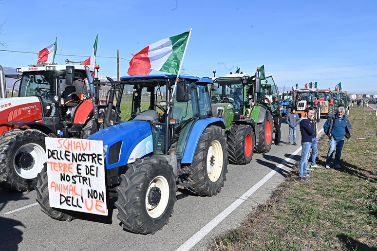 Protesta trattori, centinaia di attivisti alle porte di Torino - Notizie - Ansa.it