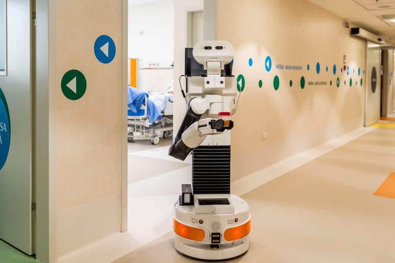 Un robot per l 'assistenza (fonte: Luigi Avantaggiato 2020) -     RIPRODUZIONE RISERVATA