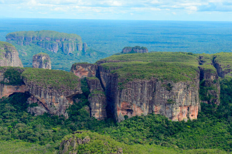 Colombia: Petro denuncia, narcos distruggono la selva amazzonica
