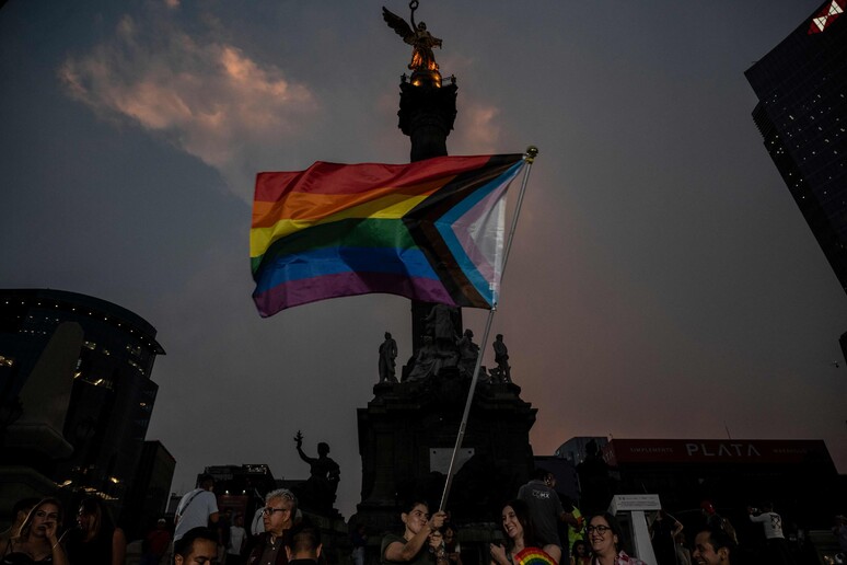 Perché oggi si celebra la Giornata contro l 'omotransfobia © ANSA/AFP