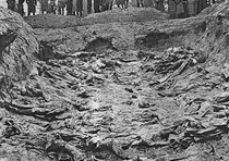 Un' immagine delle fosse in cui i sovietici gettarono i polacchi uccisi